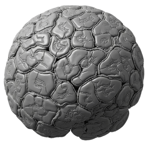Abstract 3D sphere with brain-like cell structure—symbol of Deepwraite Deep Cells